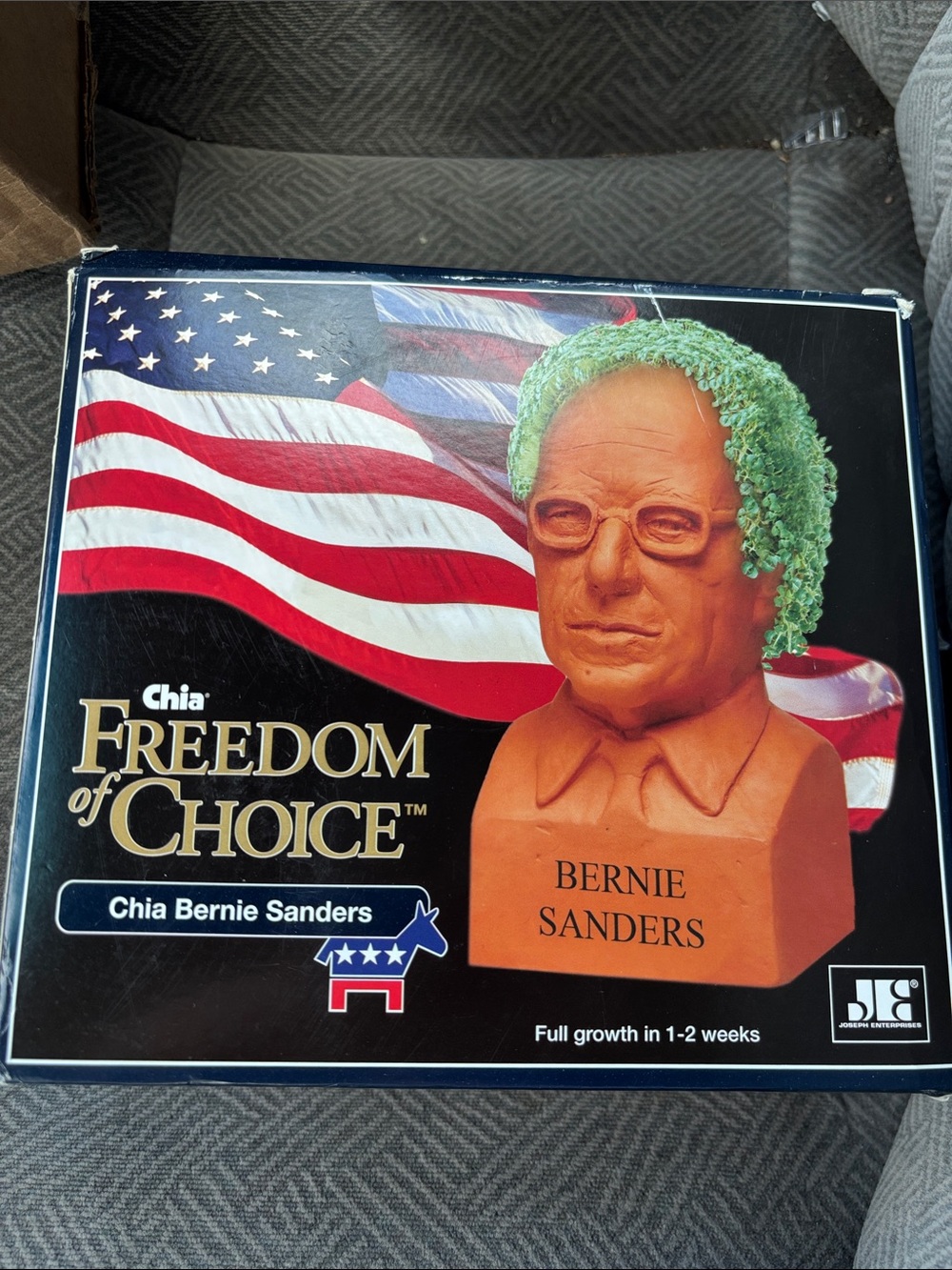 Chia Freedom of Choice Bernie Sanders Chia Seeds Hair! Brand New!